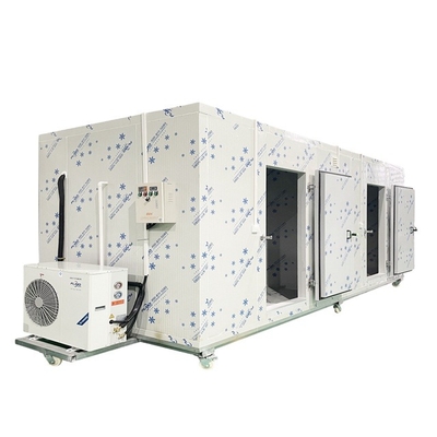 Sala de armazenamento frio do congelador da sala fria para vegetais do armazenamento do cubo de gelo